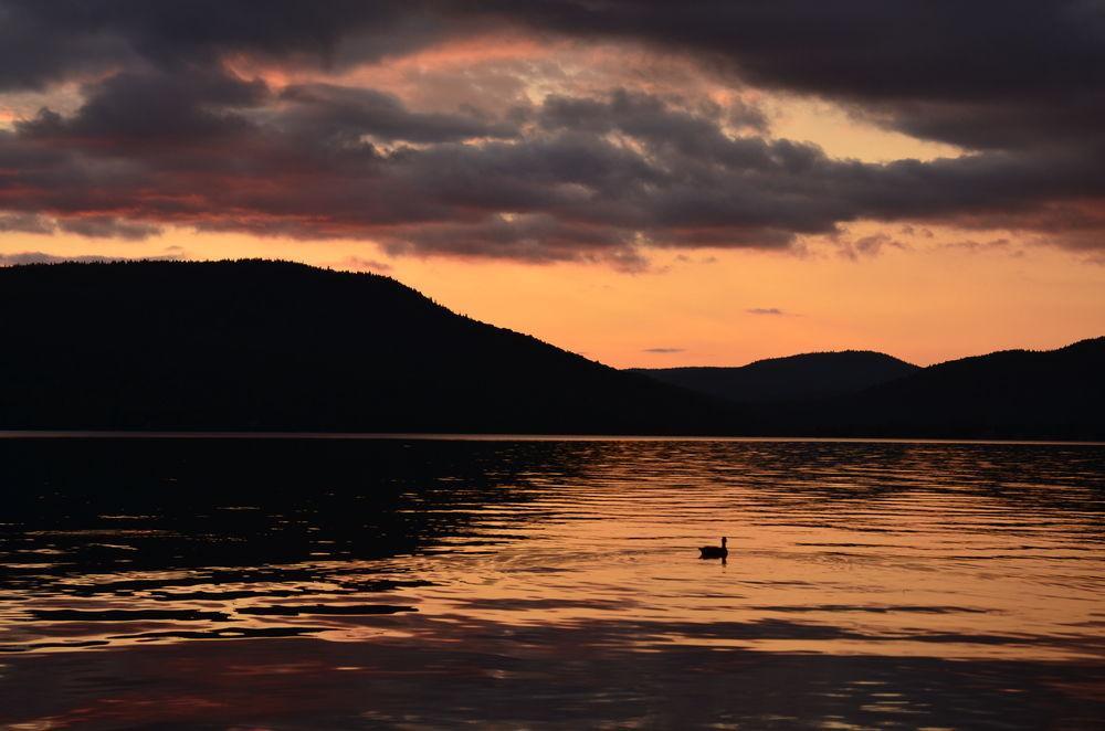 Motel Le Fleuron Saint-Donat-de-Montcalm Esterno foto