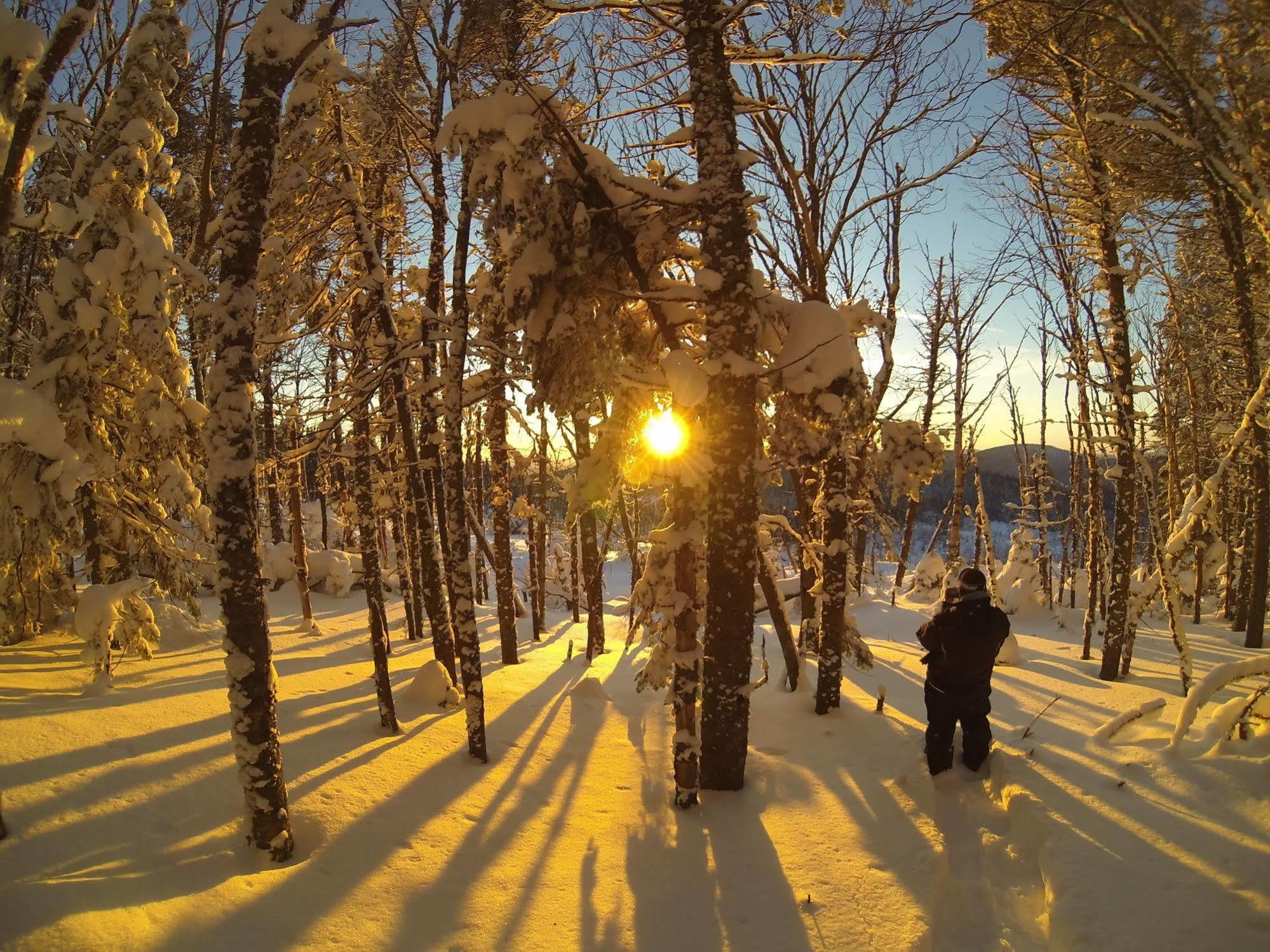 Motel Le Fleuron Saint-Donat-de-Montcalm Esterno foto